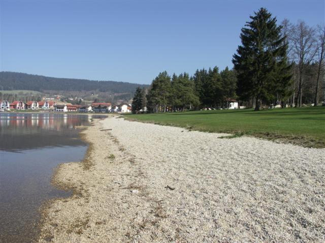 Apartment Lipno Sumava Pro 8 Hostu Lipno nad Vltavou Exteriör bild
