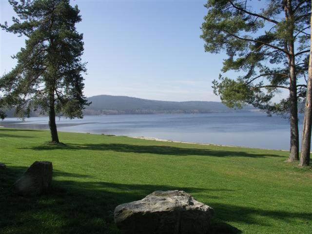 Apartment Lipno Sumava Pro 8 Hostu Lipno nad Vltavou Exteriör bild