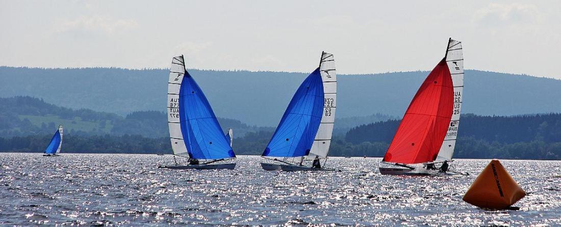 Apartment Lipno Sumava Pro 8 Hostu Lipno nad Vltavou Exteriör bild